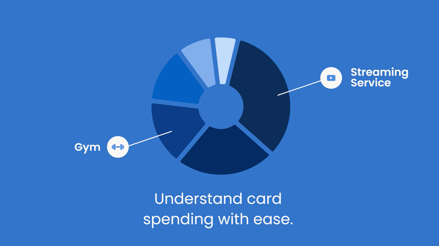 CardHub Spend Insights